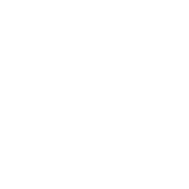 Quickswap logo